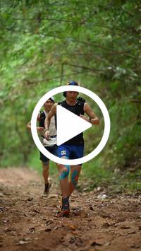 BIB:  <button type="button" onclick="openModal(26805286)" class="btn btn-primary btn-sm float-right" data-toggle="modal" data-target=".modal-high-quality">
                <i class="fa fa-download"></i> Download
                </button>